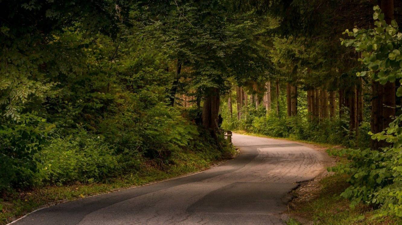 А над соснами дым..автор ролика Светлый смотреть онлайн