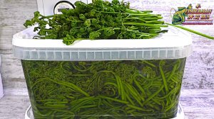 Заготовка папоротника "ОРЛЯК" в домашних условиях. НЕ ПО ГОСТу  проще и лучше чем гост!