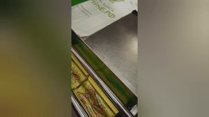 УГШ серия 1 (мы ОЧЕНЬ старались) 
#УГШ      #УДИЦАГЛАЗАМИШКОЛЬНИКА
#СЕРИЯ1