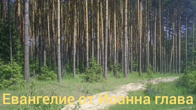 Библия Евангелие от Иоанна глава 2 смотреть онлайн