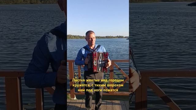 Листья жёлтые. смотреть онлайн