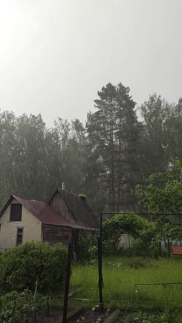 Летний дождь смотреть онлайн