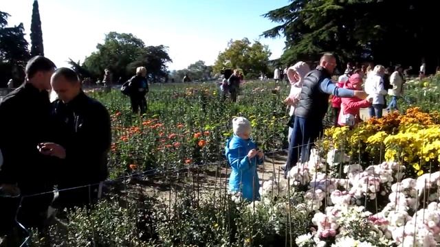 MVI 0879 смотреть онлайн