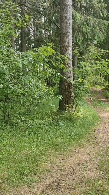 (1) Евангелие от Иоанна глава 1 стих 1-5 смотреть онлайн