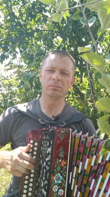 Расплескалась синева. Кавер песни на гармони. смотреть онлайн