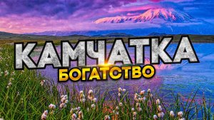 Почему Камчатка — самое богатое место России? Как живут на Камчатке: край, где природа — настоящее