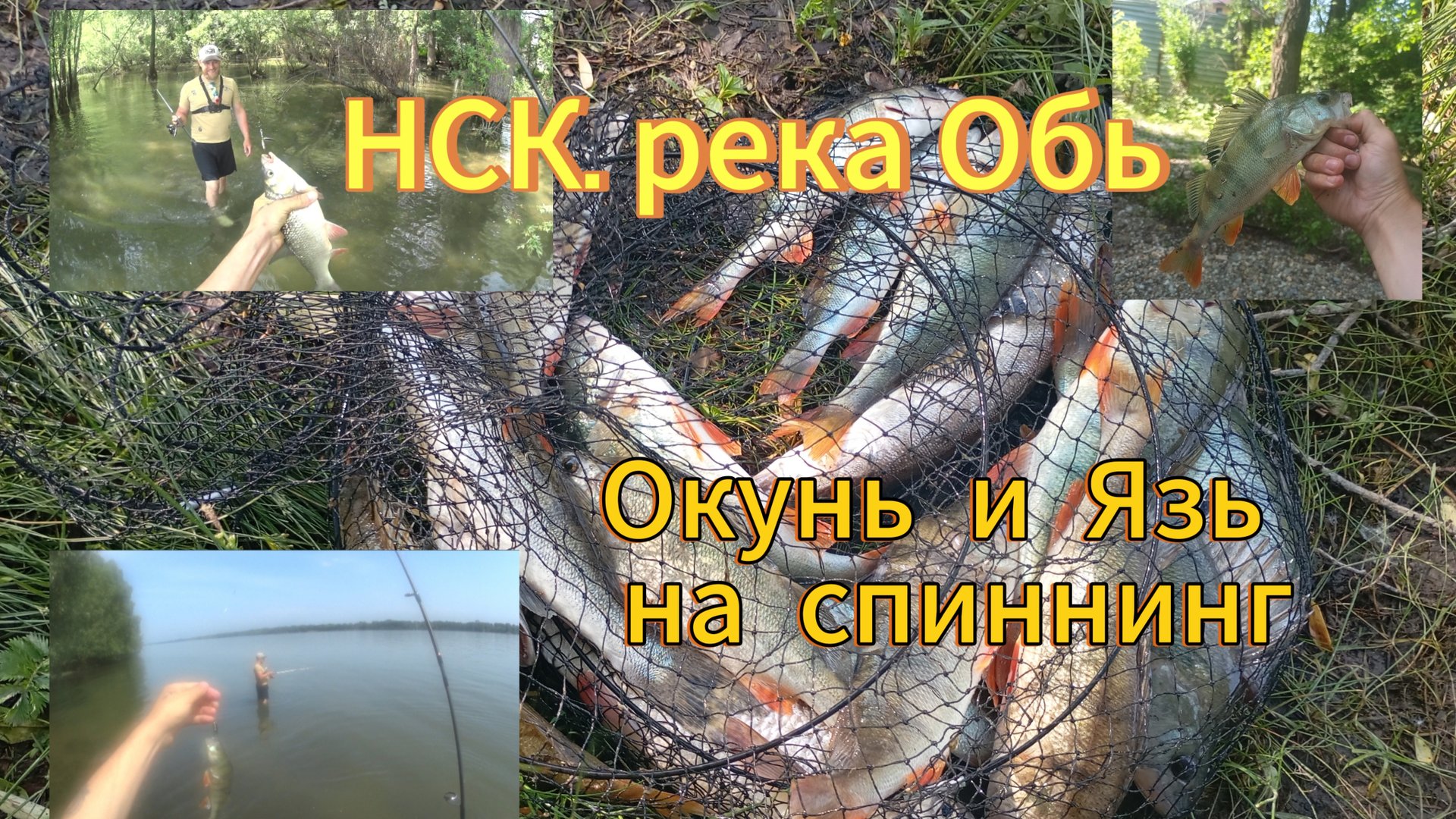 Ловля окуня и язя на спиннинг в чертах города Новосибирск на реке Обь ✌👍👍👍✊ смотреть онлайн
