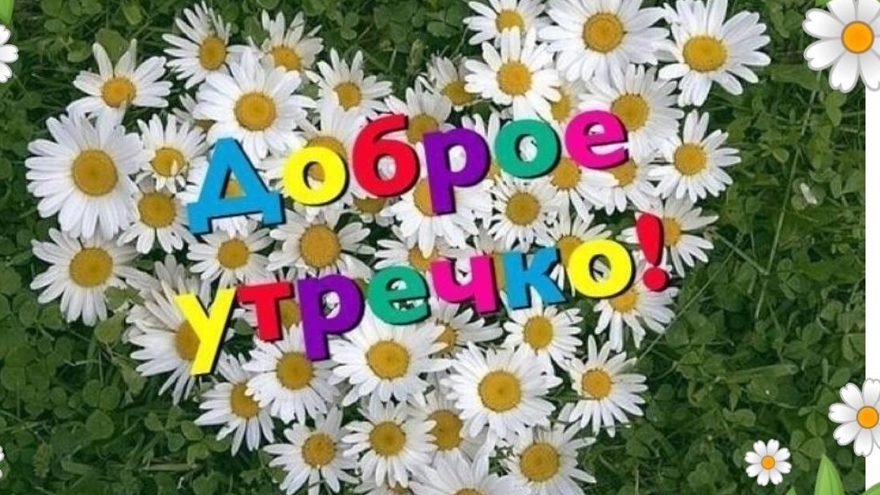С добрым,летним утром! смотреть онлайн