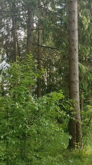 (11) Евангелие от Иоанна глава 3 стих 25-36 смотреть онлайн