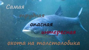 Экстрим по полной. Подводная охота на толстолобика.