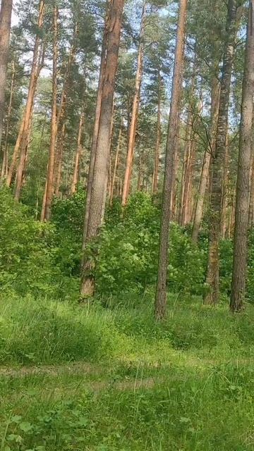 (6) Евангелие от Иоанна глава 1 стих 43-51 смотреть онлайн