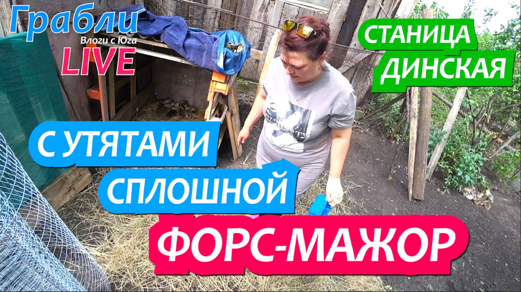 933 серия 13.06.25 Плюсы покупки дома на окраине / Жизнь в станице Динская после переезда на Юг смотреть онлайн