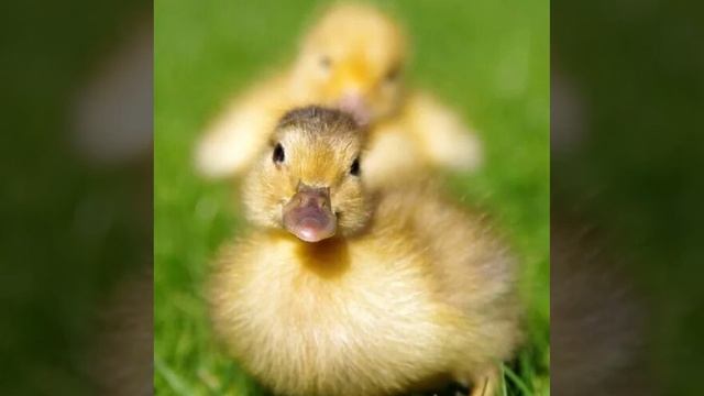 Это интересно-2