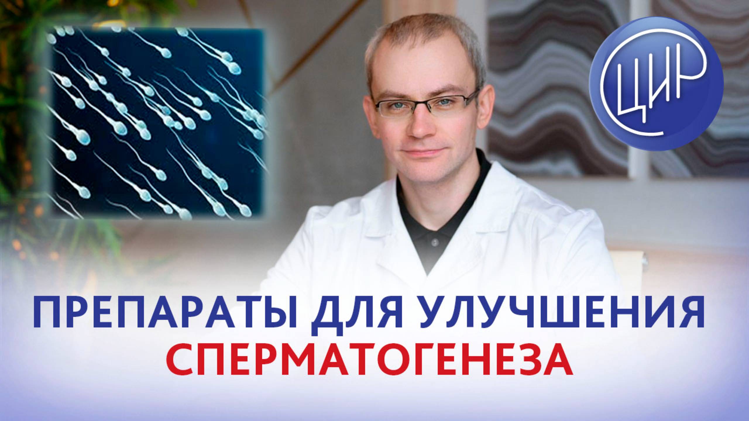 Кломифена цитрат, анастрозол, летрозол и каберголин для улучшения сперматогенеза. Живулько А.Р.