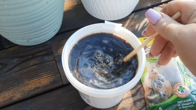 Лучшая подкормка капусты