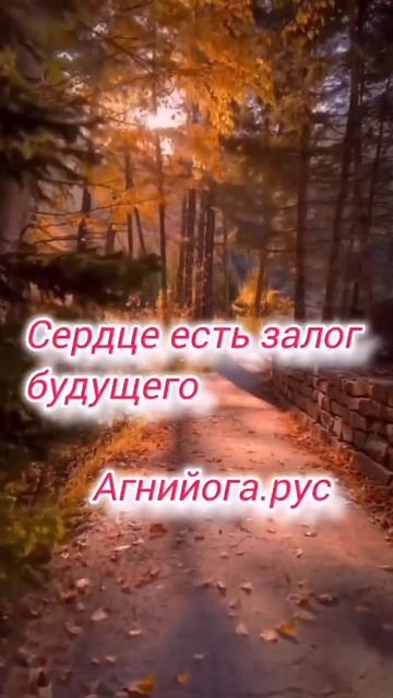 Сердце есть залог будущего! #агнийога #живая_этика #сердце #мудрость_великих_учителей #мудрость смотреть онлайн