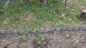 Штукатурим  стены. Собираем урожай. Строим сушилку для фруктов и овощей. Видео от родителей.