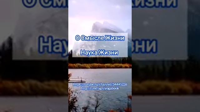 о смысле жизни смотреть онлайн