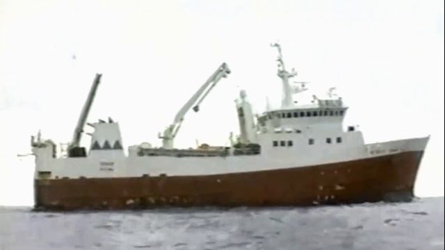 100 лет пограничным войскам, Краснодар, 27 мая 2018 г.