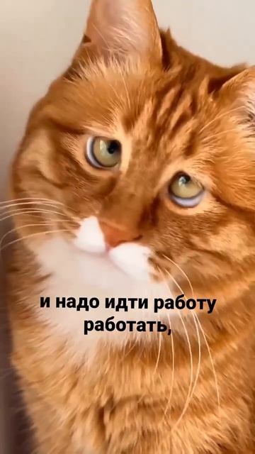 Работу работаю. смотреть онлайн