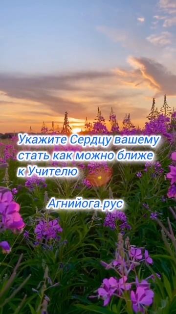 #агнийога #живая_этика #мудрость_великих_учителей смотреть онлайн