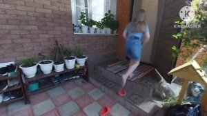 сходили в больницу и мн.др.