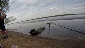 Рыбалка на Волге: ШОКИРУЮЩИЙ УЛОВ летом 2024! Мечта рыбака сбылась!