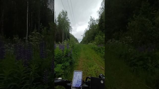 Wenbox F9 Pro. после дождя