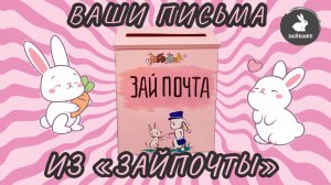 Читаем ваши письма в Зайкафе