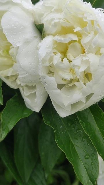 После дождя смотреть онлайн