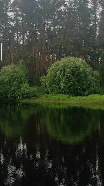 (5) Евангелие от Иоанна глава 1 стих 35-42 смотреть онлайн