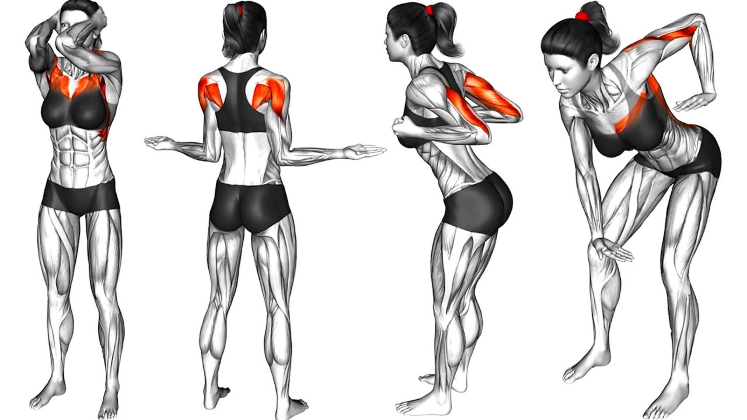 Как тонизировать Мышцы и облегчить БОЛЬ смотреть онлайн