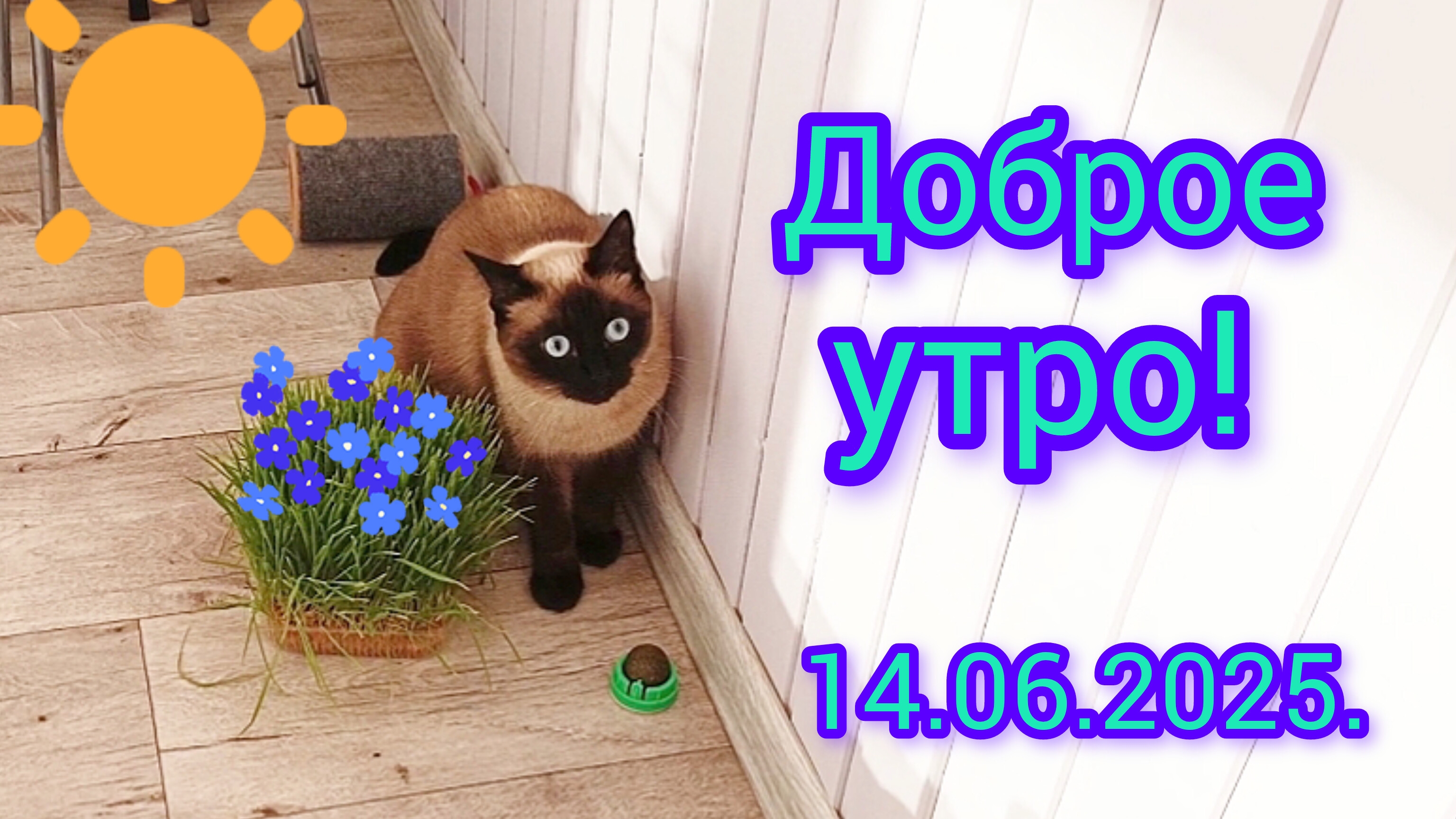 Доброе☀️утро🐱14-06-2025 #поговорим #жизнь инвалида #доброеутро