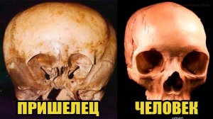 Череп инопланетянина возрастом 900 лет ?!