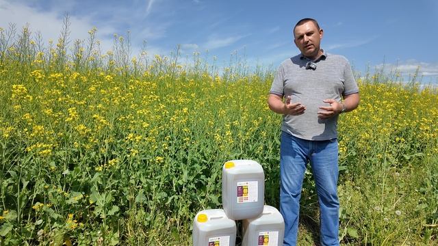 Защитить рапс от осыпания. Униклей. смотреть онлайн