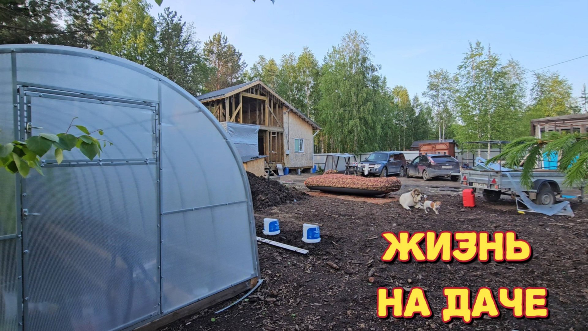 Могут отравить/капельный полив пошёл не по плану/купила посуду для похода/сметанные кексы. смотреть онлайн