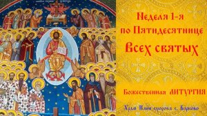 Неделя 1-я по Пятидесятнице, Всех святых. Божественная Литургия.