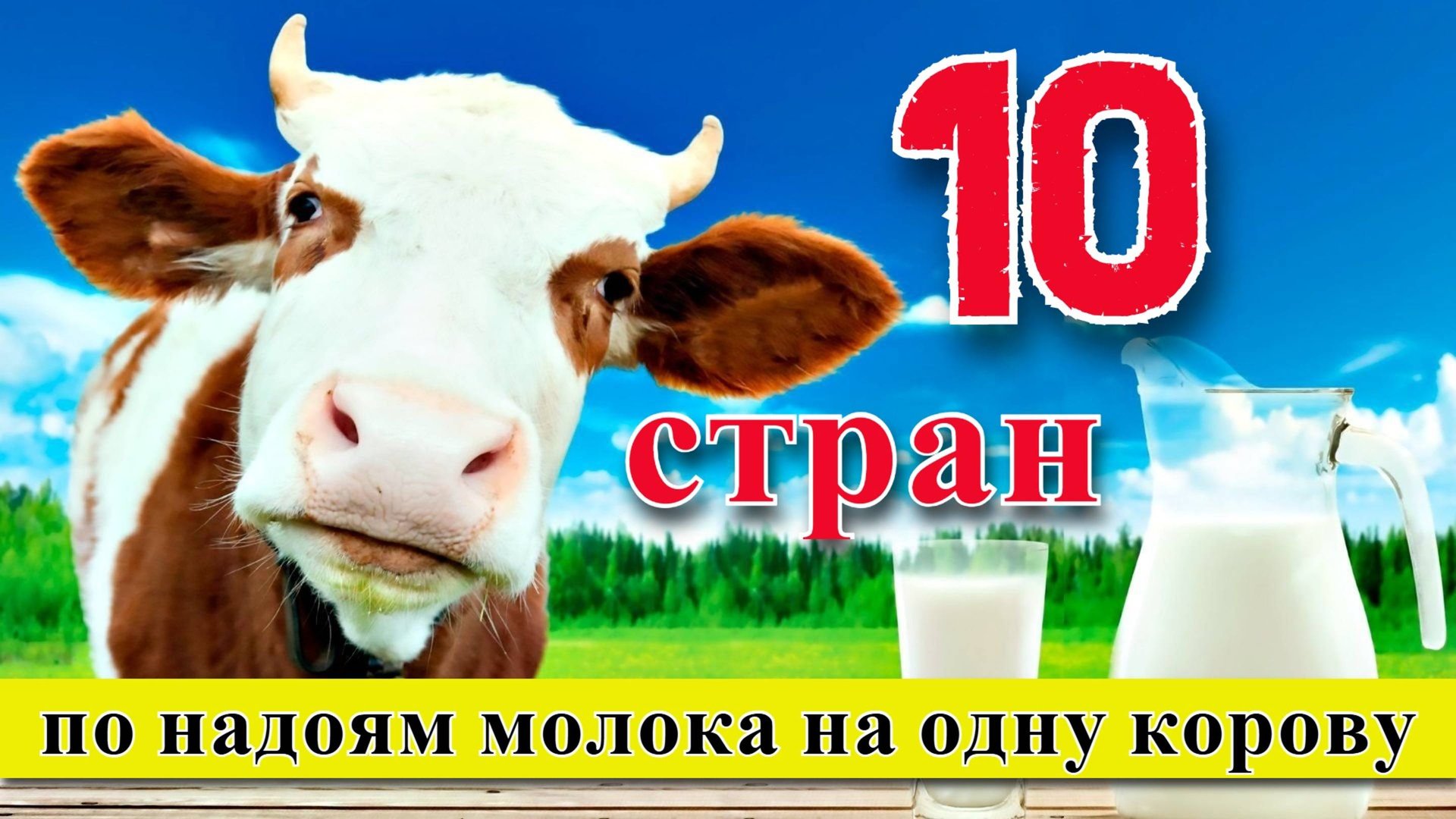 Надои молока: ТОП 10 стран по надоям молока на одну корову (1961–2023) смотреть онлайн