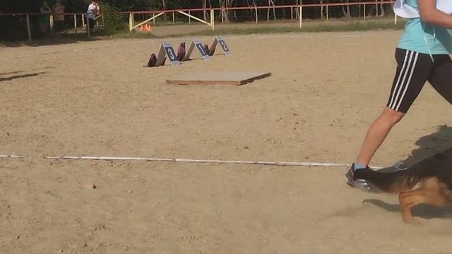 БЕБИ СУКИ / КЧК НОВОРОССИЙСК 13 июня`25 Ю.Овсянникова Моно немецких овчарок