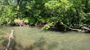 Рыбалка в Приморье: Трофеи горной реки! Ловля среди скал и водопадов летом 2025