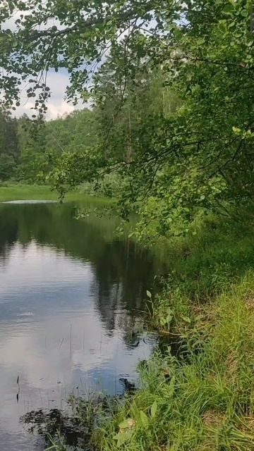 (4) Евангелие от Иоанна глава 1 стих 29-34 смотреть онлайн