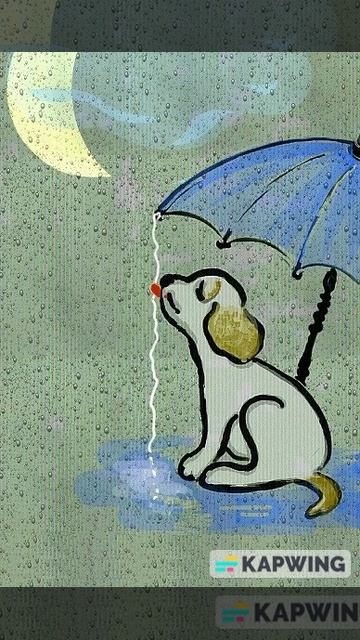 У окна уснул щенок