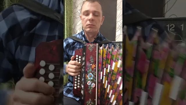 Прямой эфир номер 2. Разбор песни. Исполнение любимых песен под гармонь. (22.02.2024г) смотреть онлайн