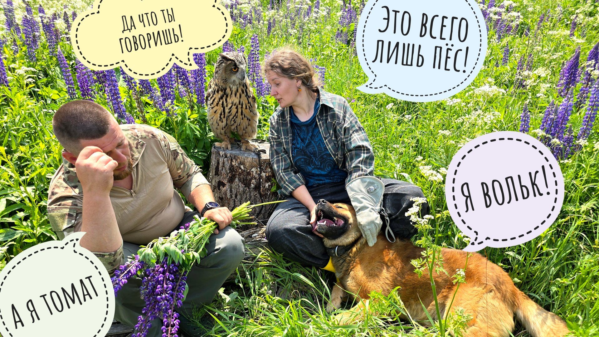 Кто тут самая красивая сова? - Пёс Кубик! Все хотят фото с совой-главзвездовой! смотреть онлайн