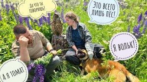 Кто тут самая красивая сова? - Пёс Кубик! Все хотят фото с совой-главзвездовой!