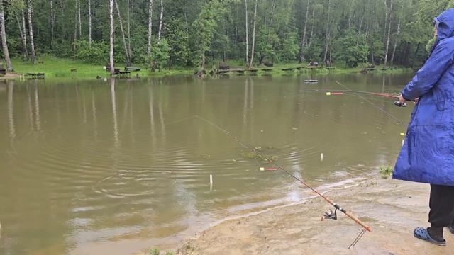 14.06.25 г. парк отдыха водопад смотреть онлайн