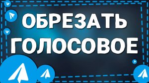 Как обрезать голосовое сообщение в Телеграмме на Айфон в 2025
