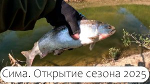 Сима. Открыл сезон 2025. Рыбалка на Сахалине.  #Сахалин #рыбалка #сима #рыбалканасахалине