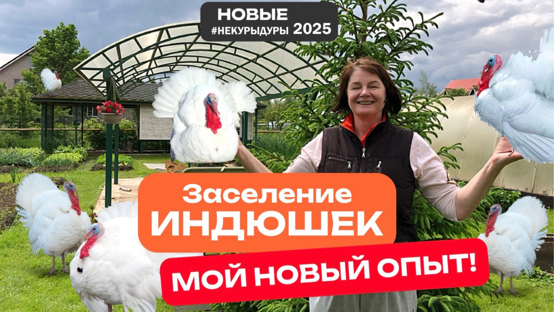 Заселение индюшек. Личный опыт по содержанию индюков 2025