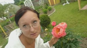 Видео привет с 6 соток 13 Июня 2025 года